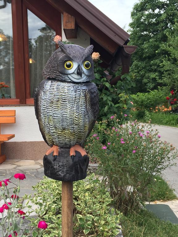 House Samardzic Hotell Jezerce Eksteriør bilde